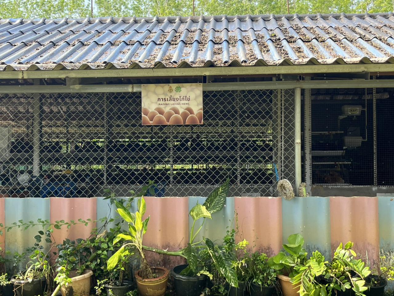 ภาพประกอบที่ 5