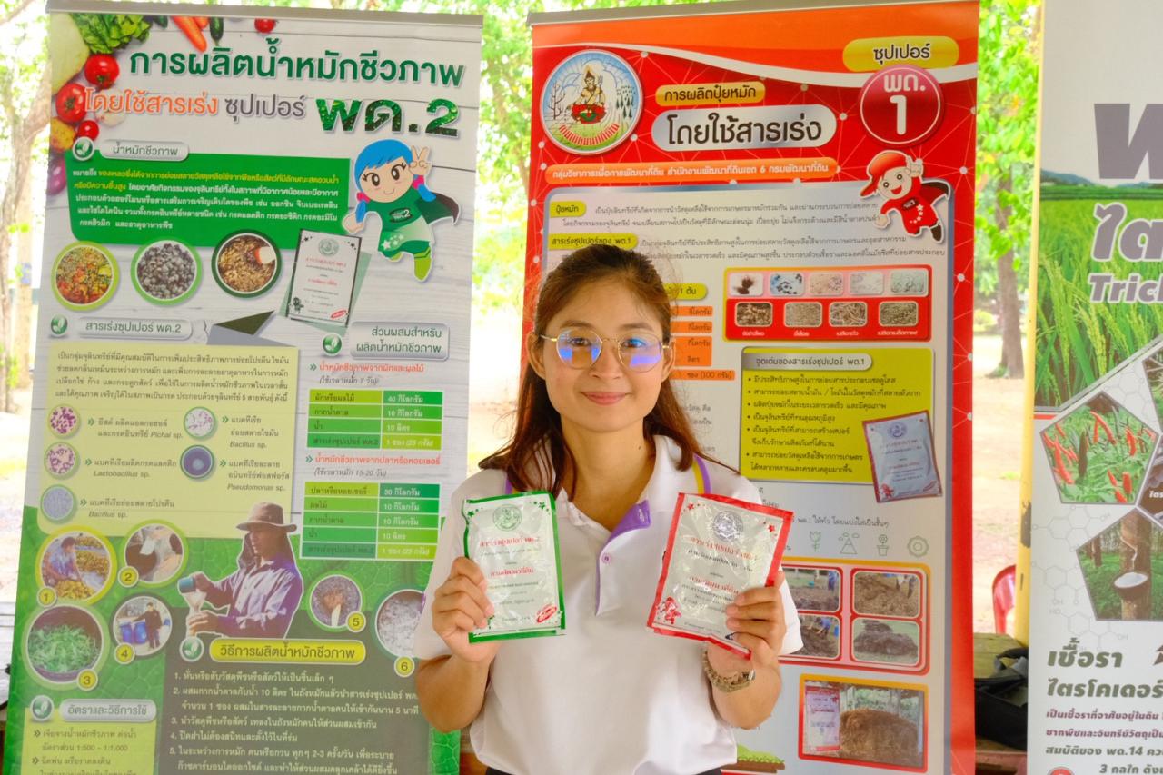 ภาพประกอบที่ 3