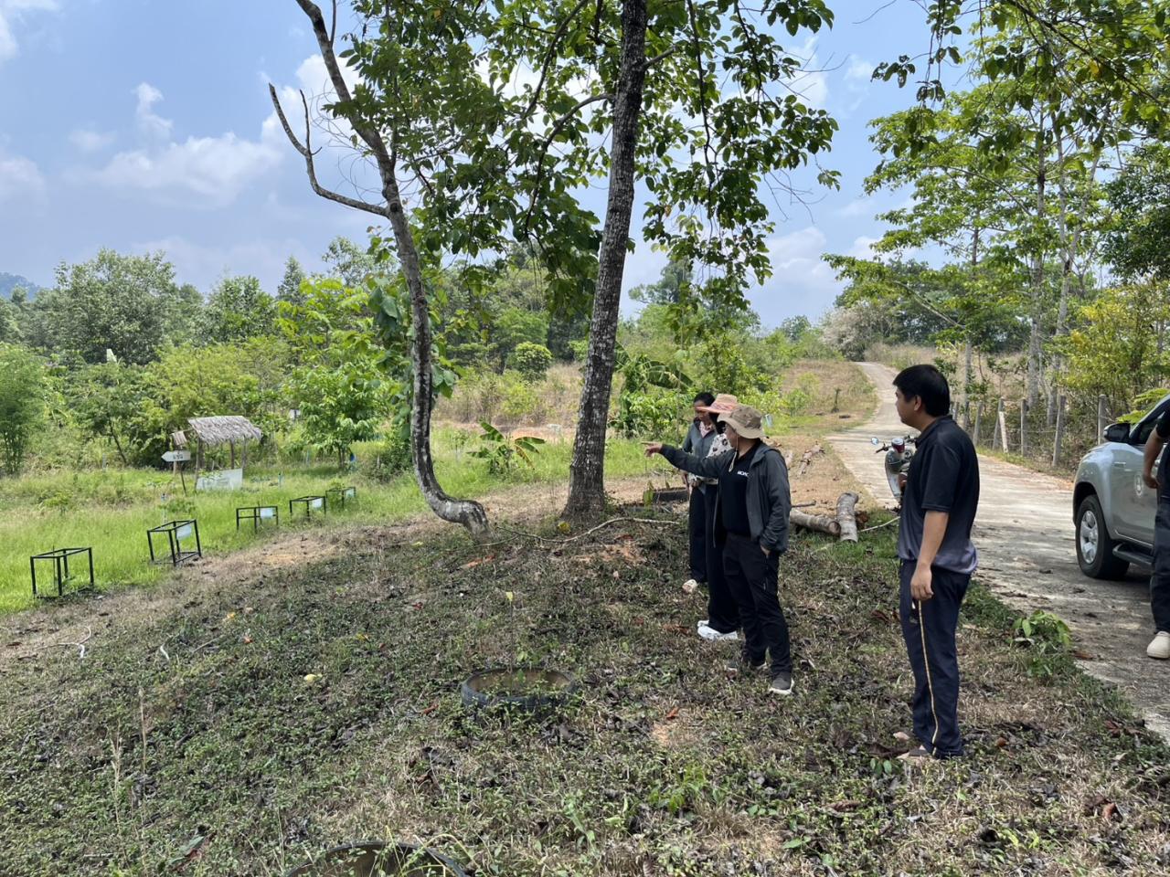 ภาพประกอบที่ 1