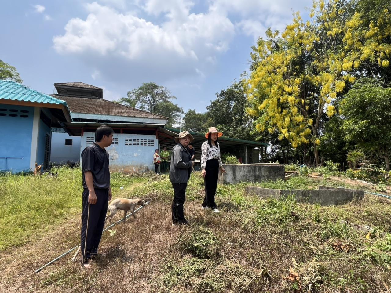 ภาพประกอบที่ 3