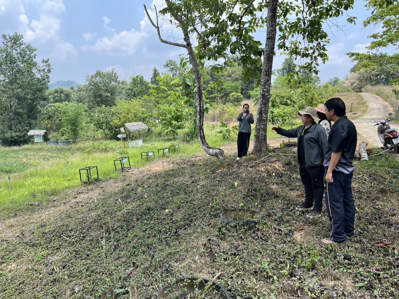 ภาพประกอบที่ 4