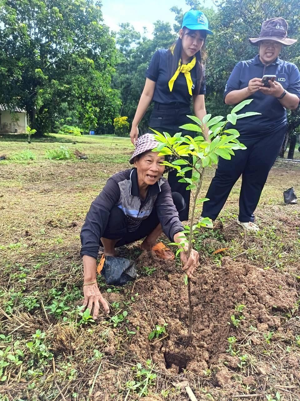 ภาพประกอบที่ 11