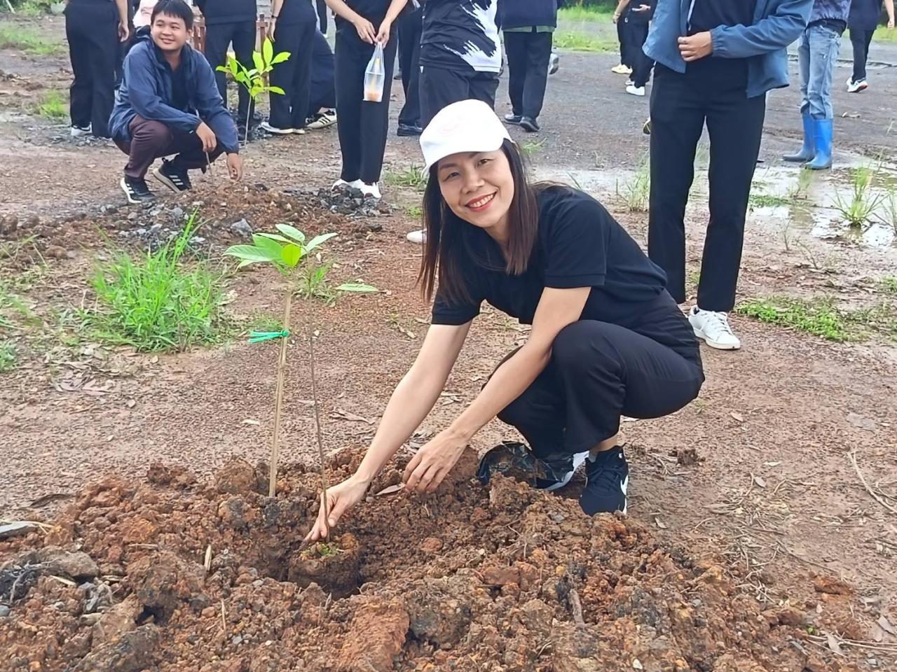 ภาพประกอบที่ 3
