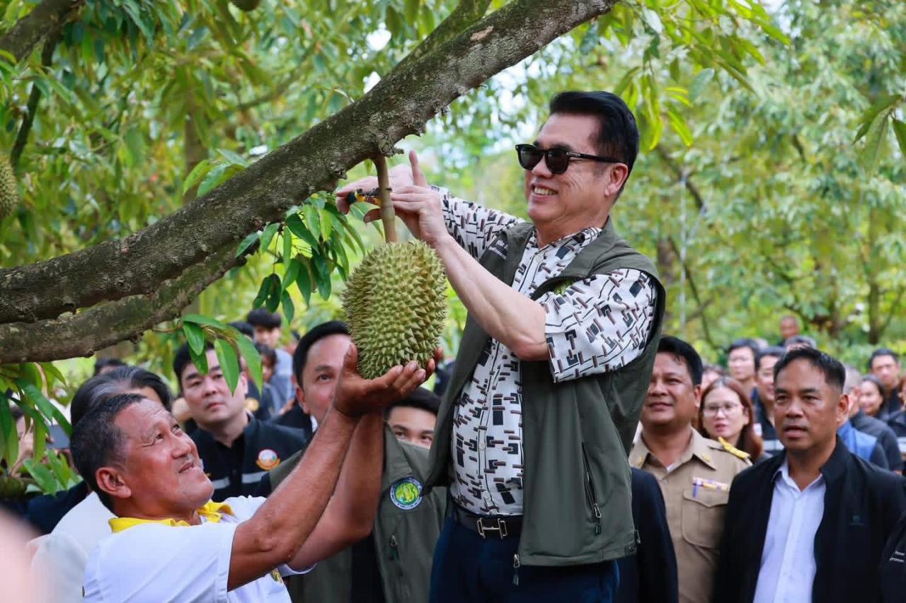 ภาพประกอบที่ 8
