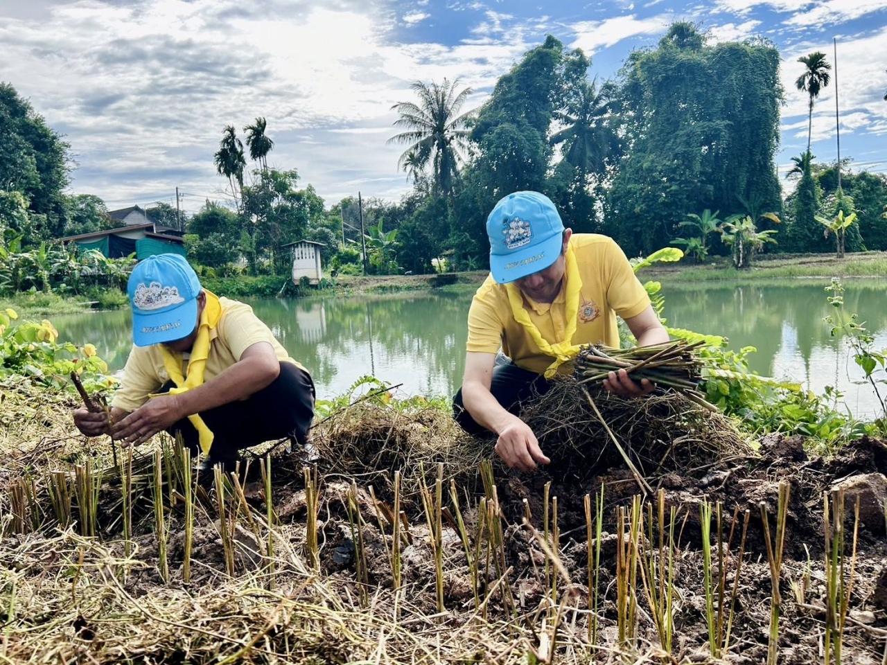 ภาพประกอบที่ 4