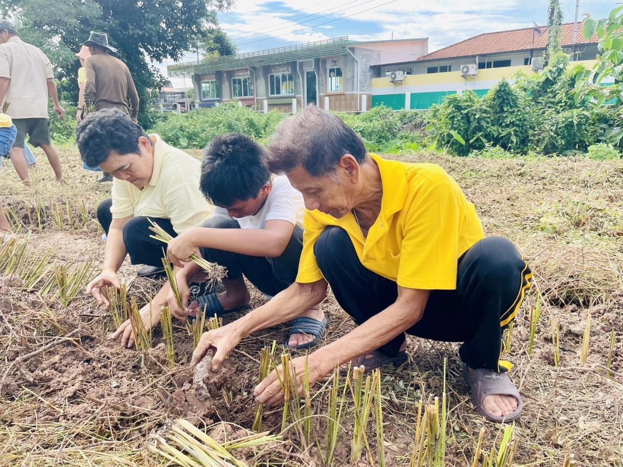 ภาพประกอบที่ 12