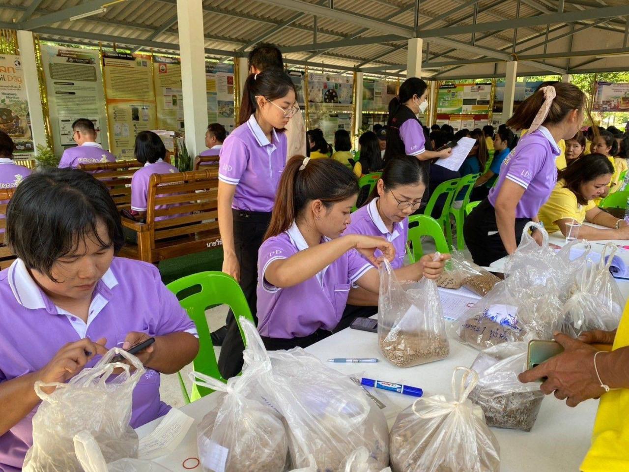 ภาพประกอบที่ 12