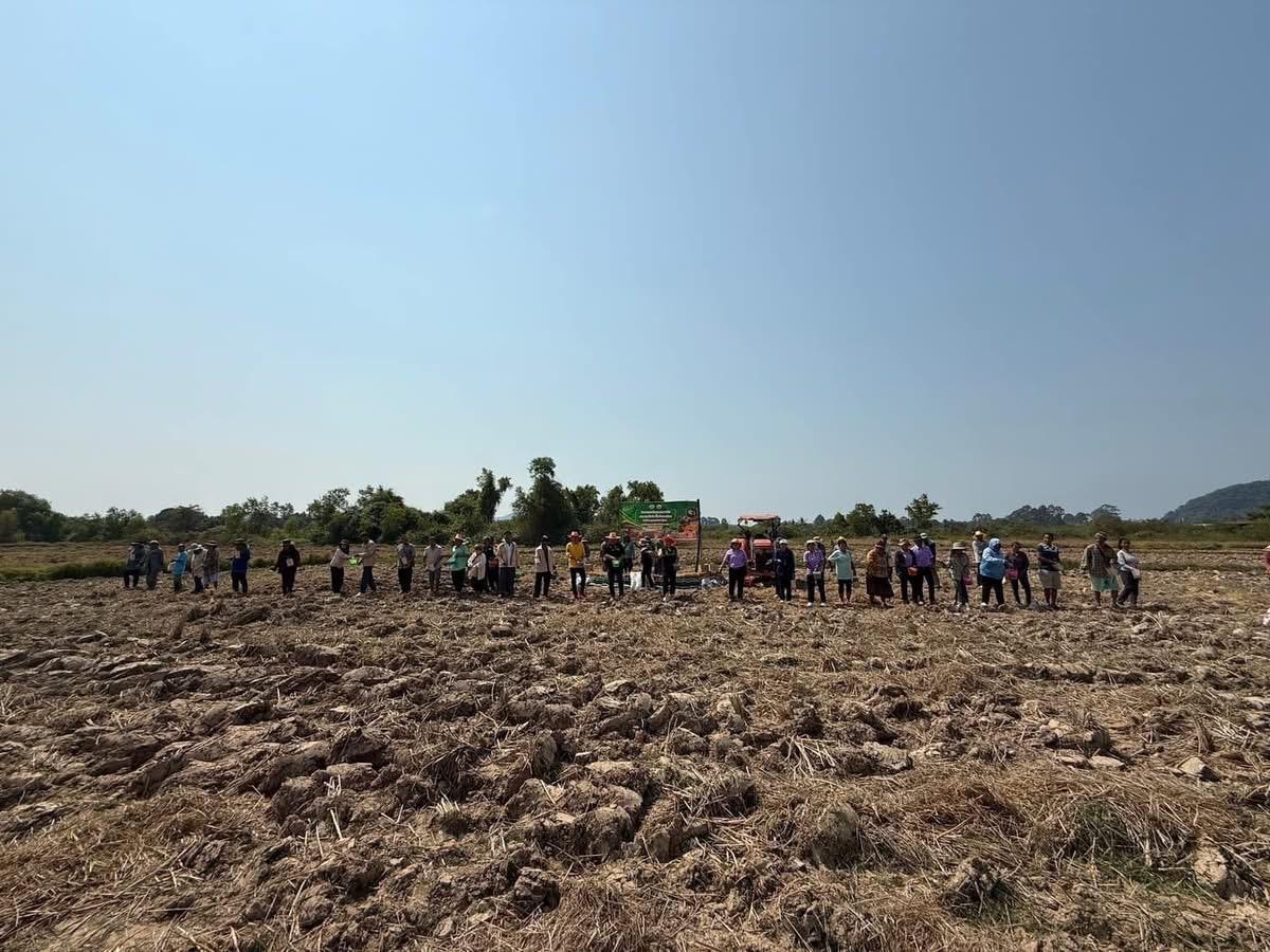 ภาพประกอบที่ 2