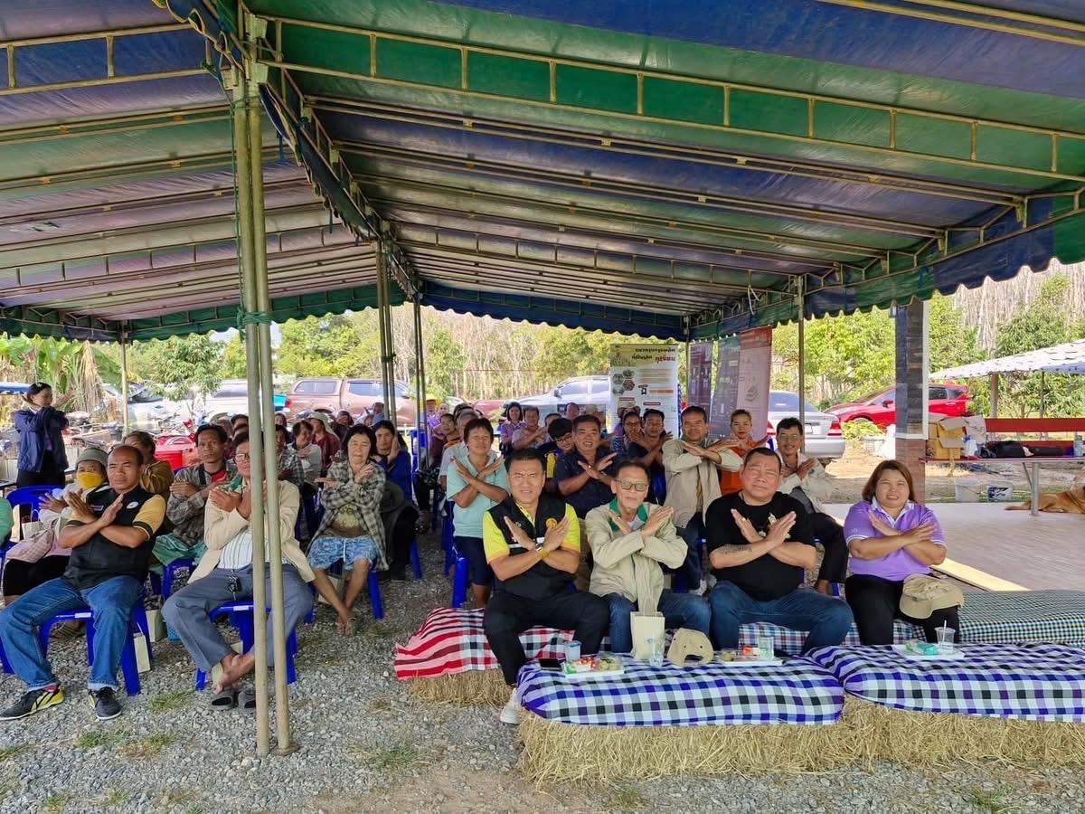 ภาพประกอบที่ 3