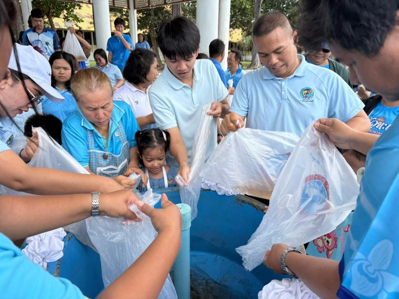 ภาพประกอบที่ 5