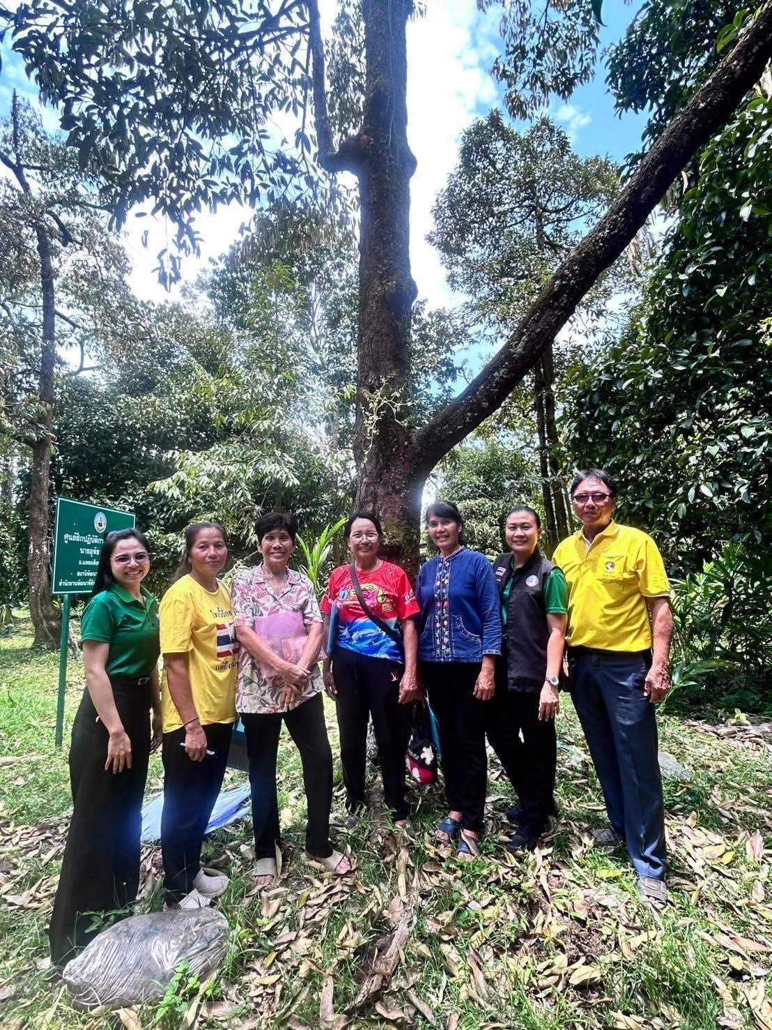 ภาพประกอบที่ 9