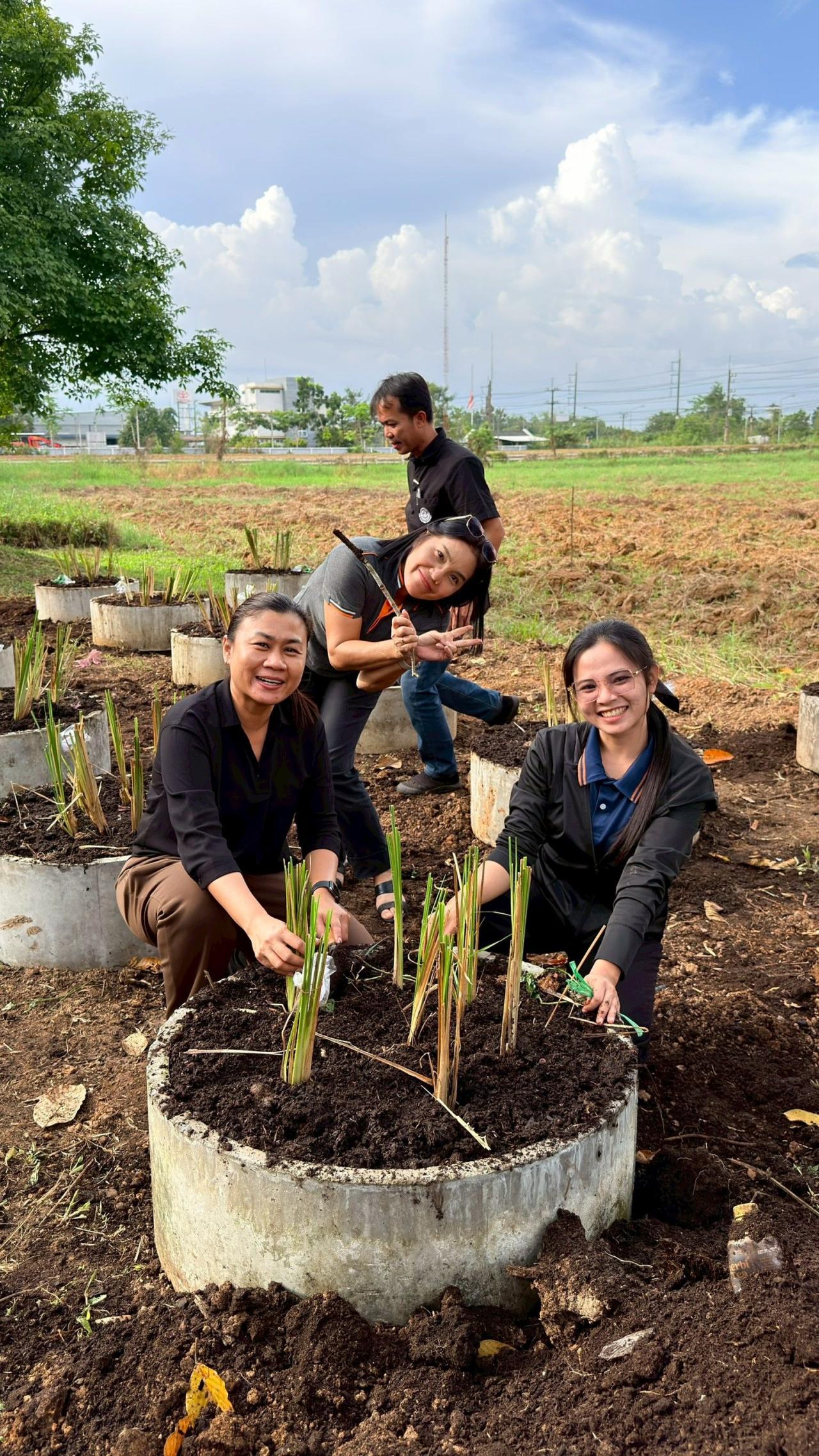ภาพประกอบที่ 5