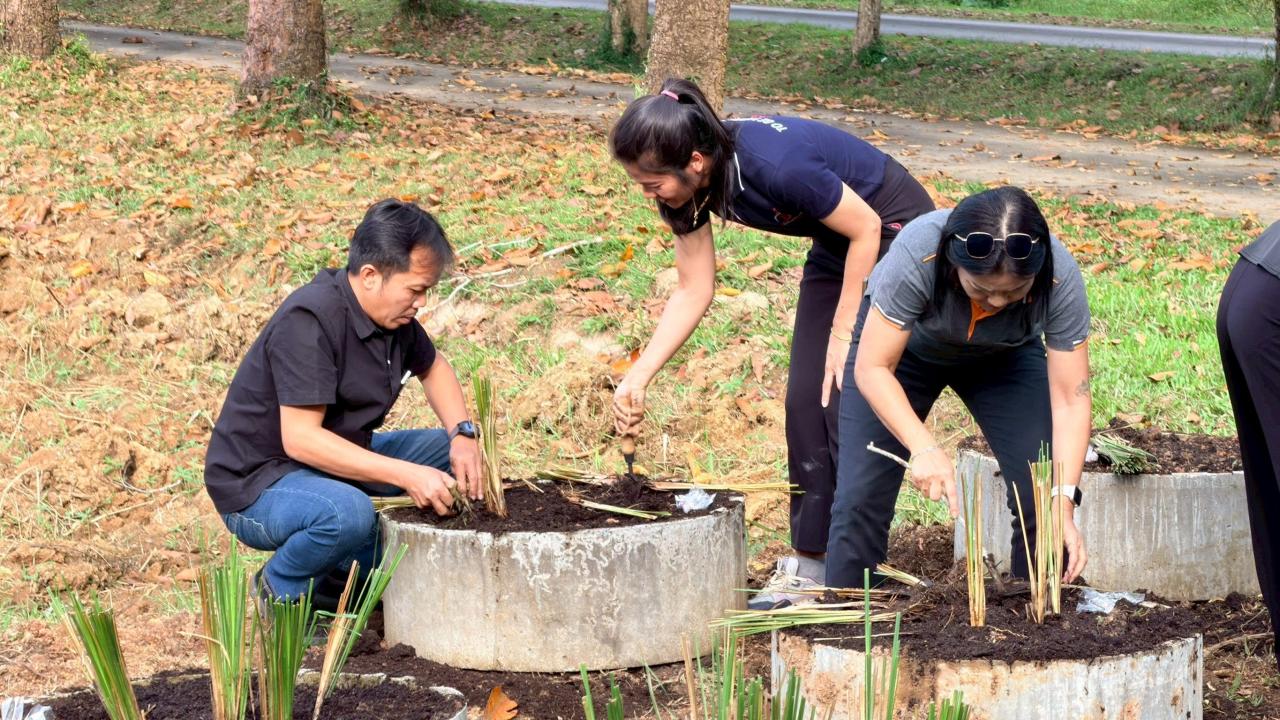 ภาพประกอบที่ 7