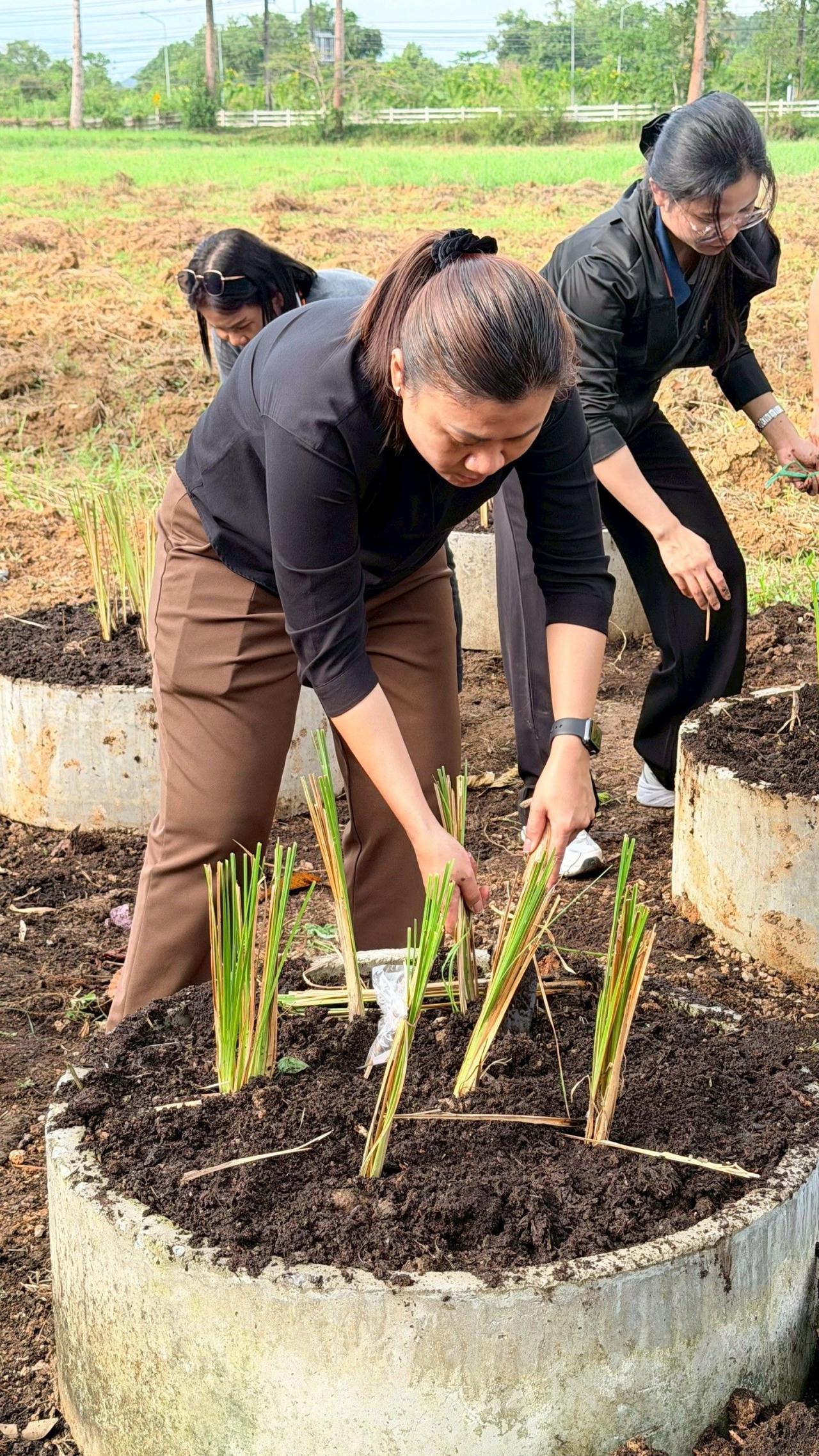 ภาพประกอบที่ 8