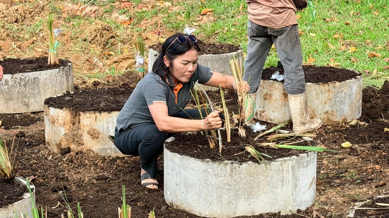ภาพประกอบที่ 9