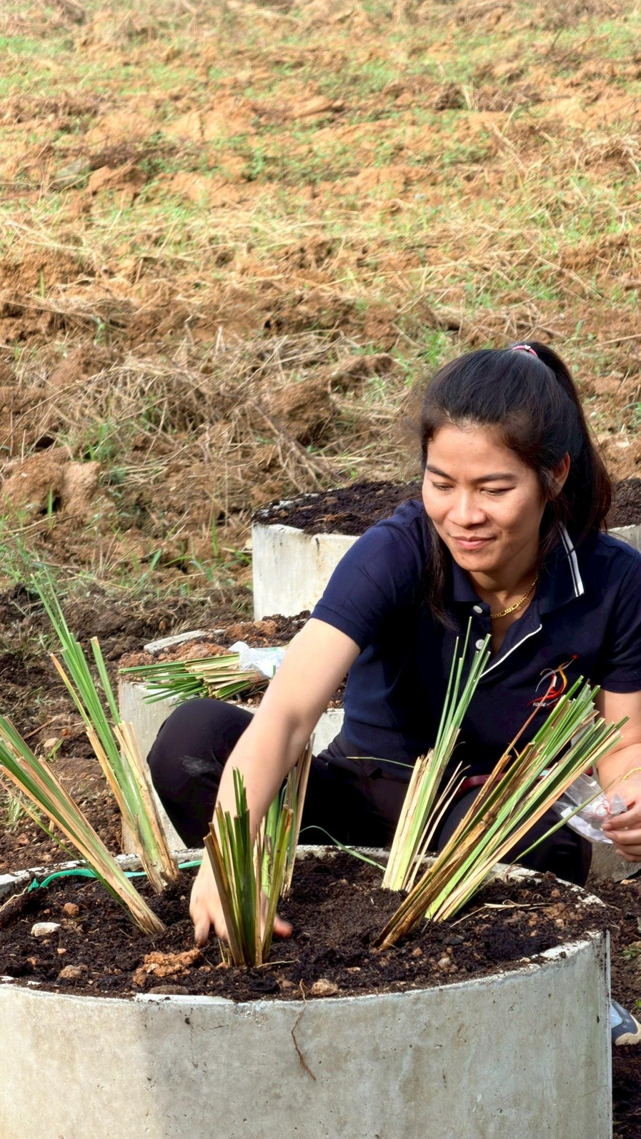 ภาพประกอบที่ 10