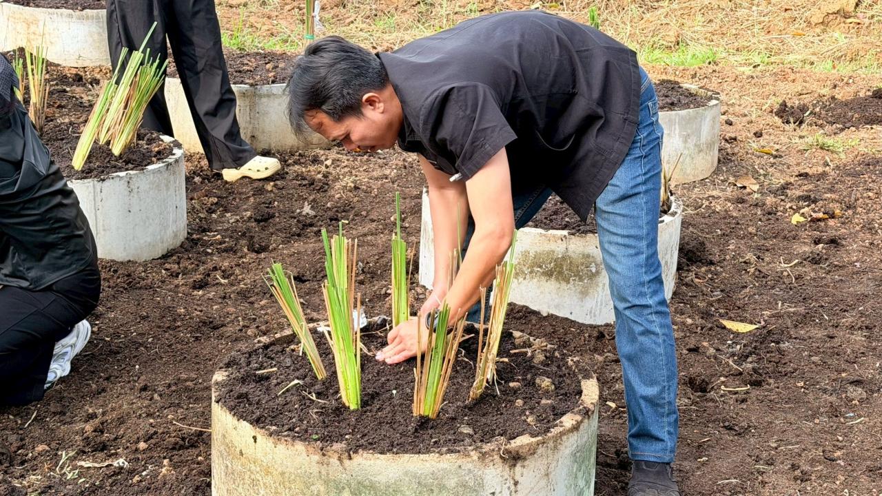 ภาพประกอบที่ 11