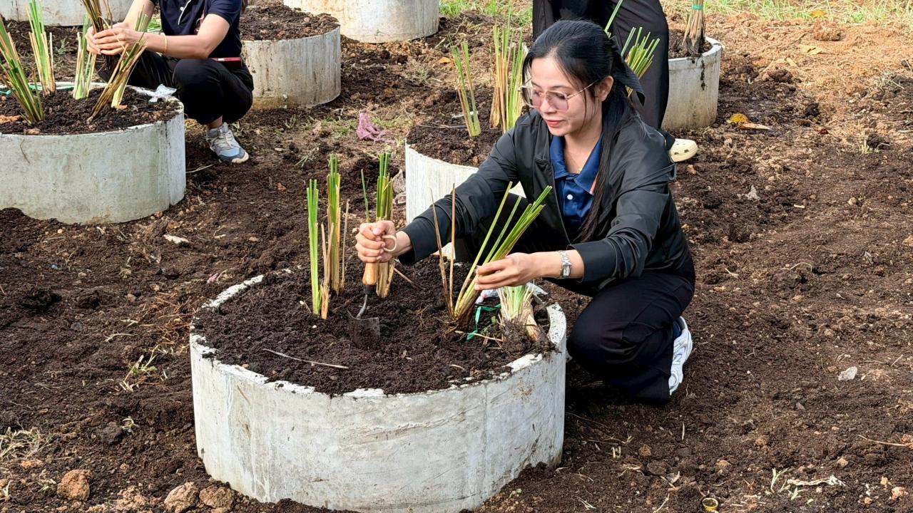 ภาพประกอบที่ 12