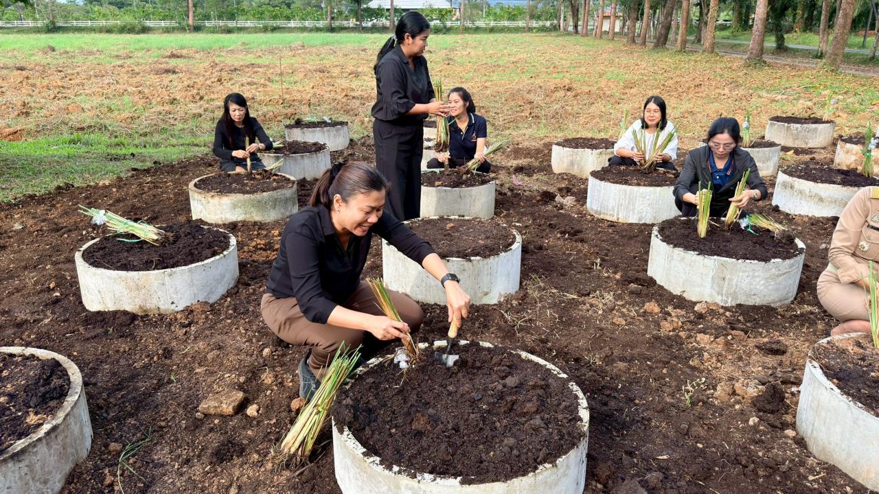 ภาพประกอบที่ 13