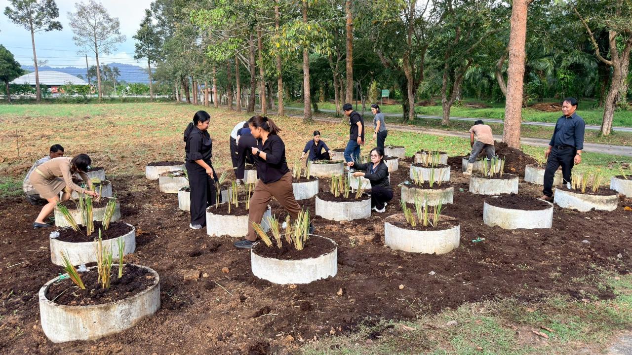 ภาพประกอบที่ 17