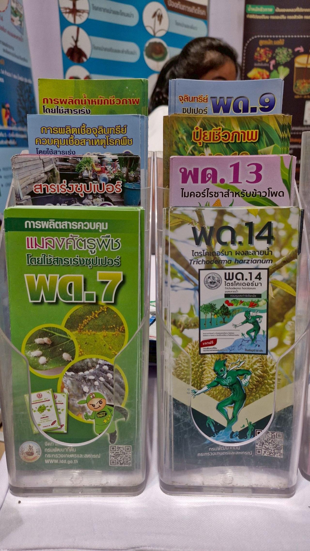 ภาพประกอบที่ 15