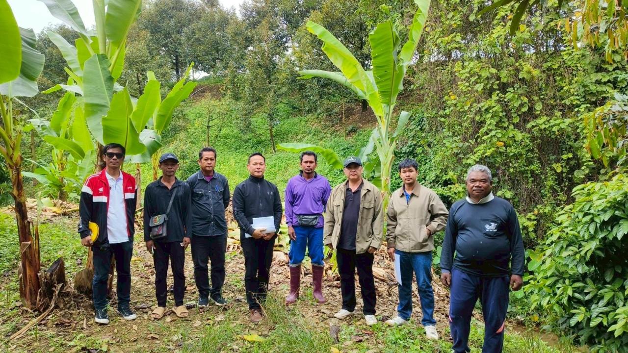 ภาพประกอบที่ 0