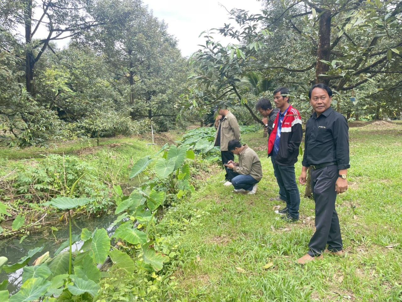 ภาพประกอบที่ 5