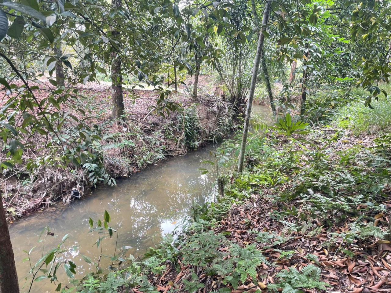 ภาพประกอบที่ 6