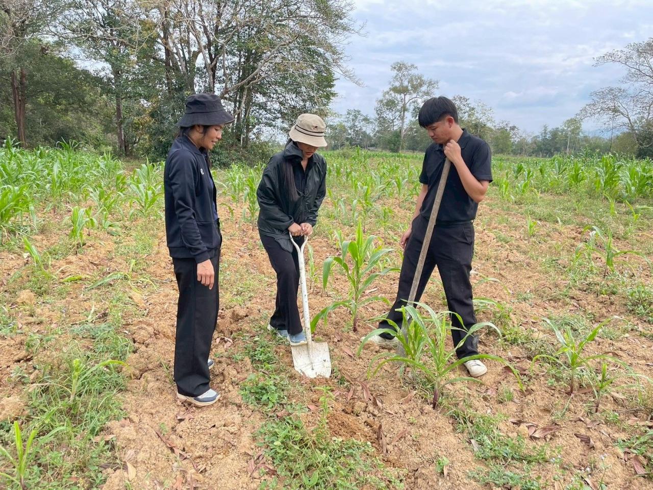 ภาพประกอบที่ 9