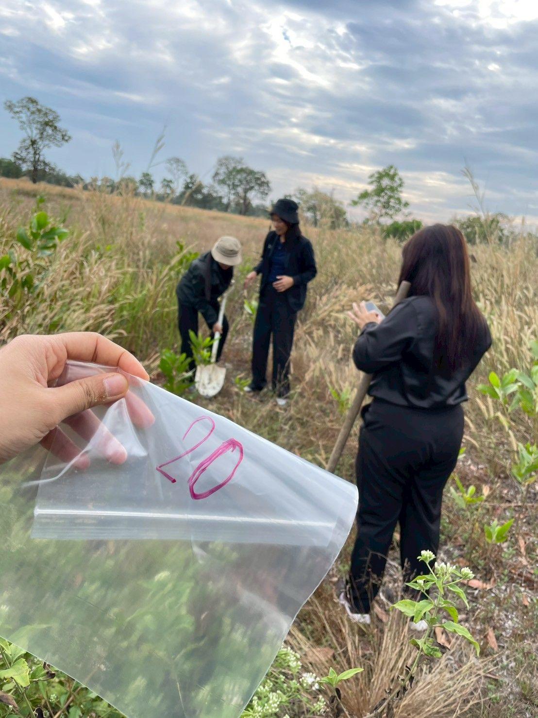 ภาพประกอบที่ 10