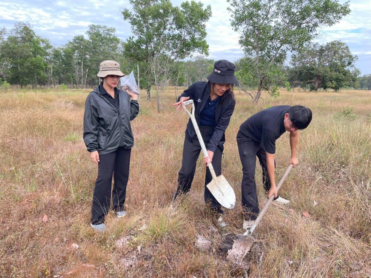 ภาพประกอบที่ 11