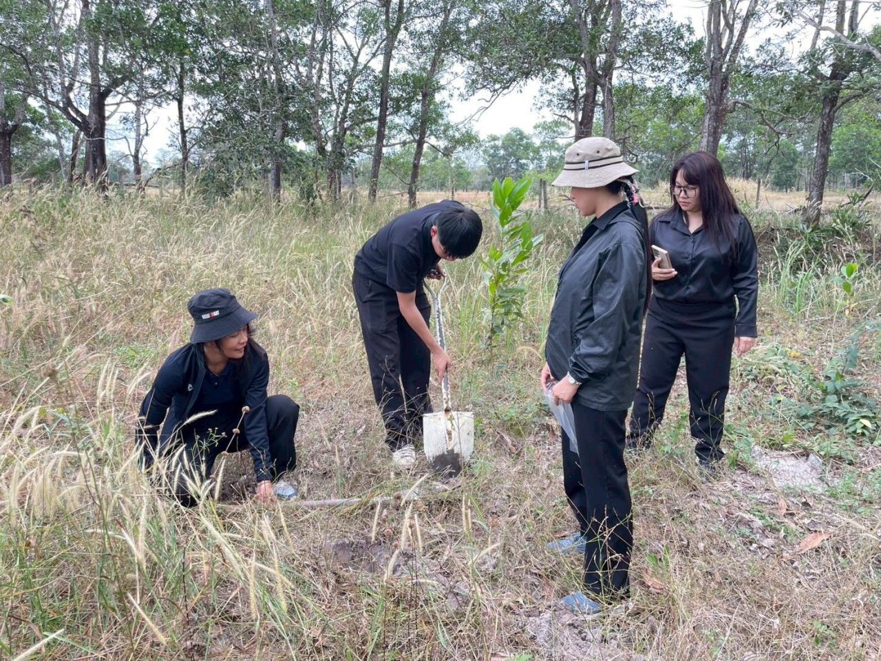 ภาพประกอบที่ 12