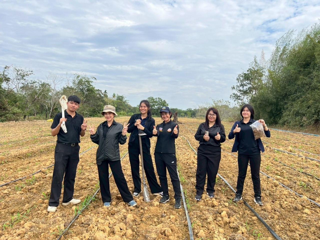 ภาพประกอบที่ 13