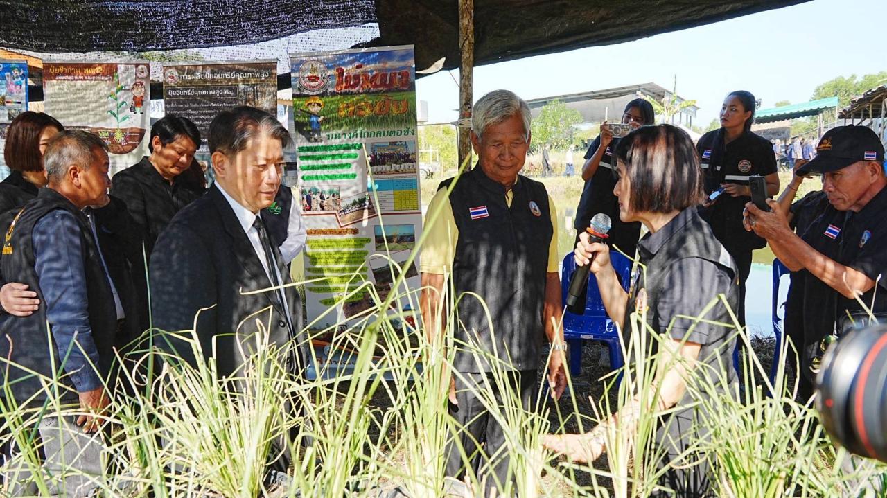 ภาพประกอบที่ 12