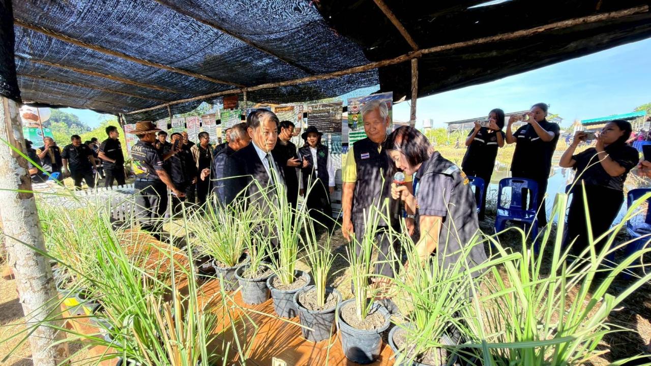 ภาพประกอบที่ 20