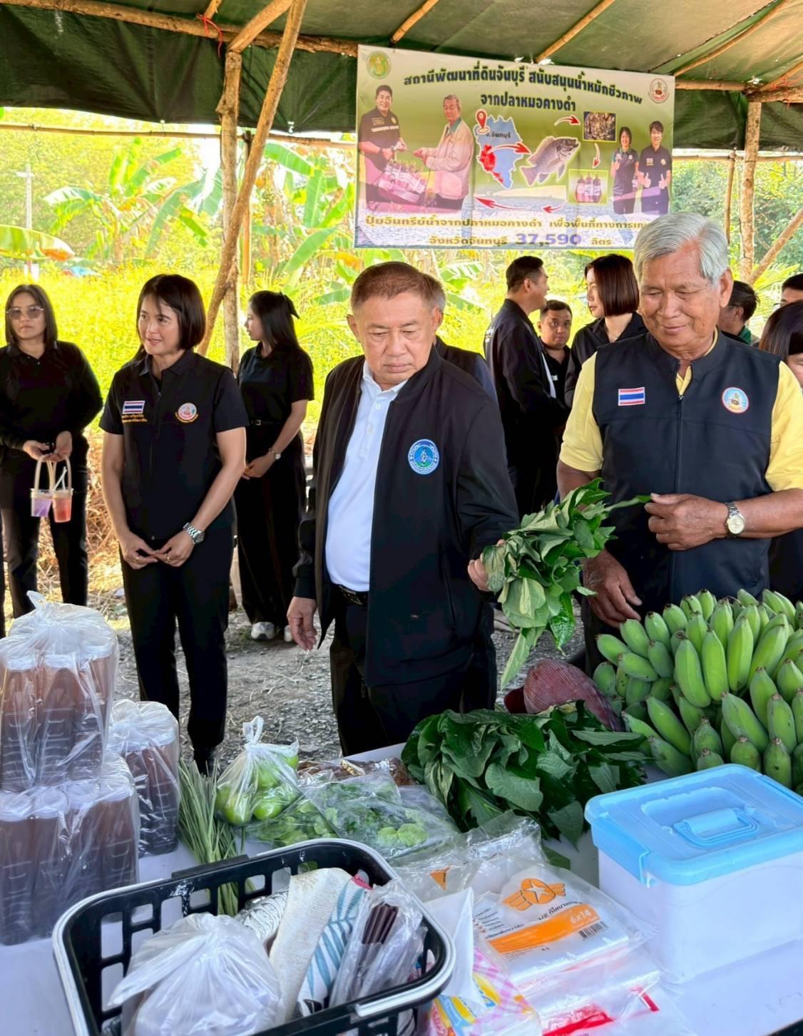 ภาพประกอบที่ 21