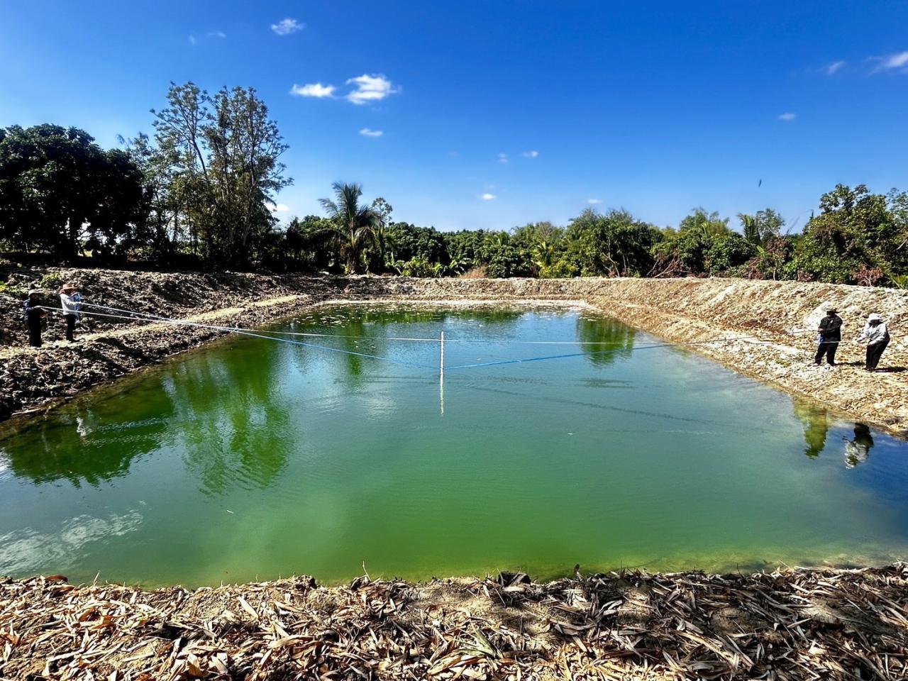 ภาพประกอบที่ 8