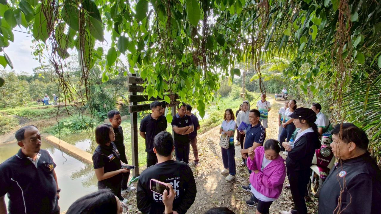 ภาพประกอบที่ 8