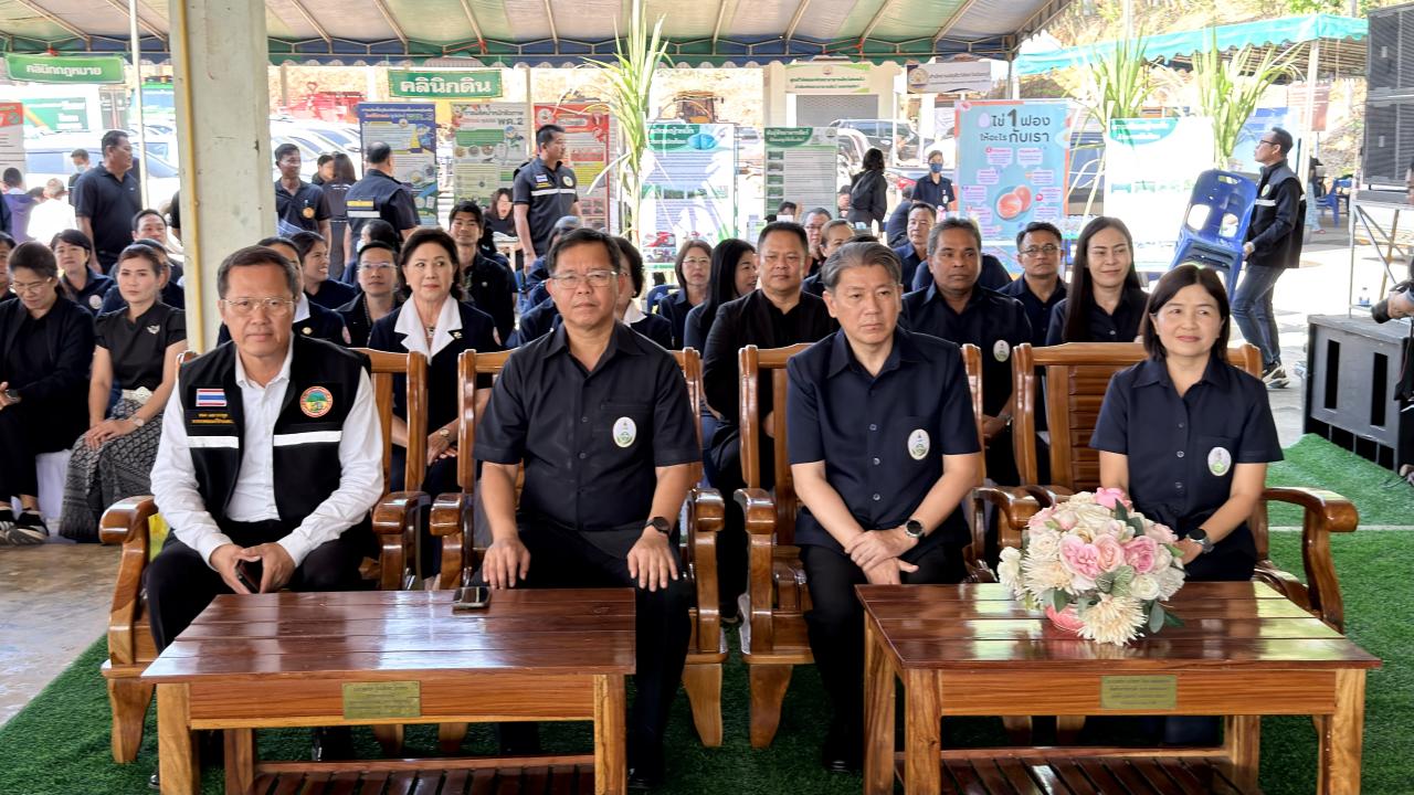 ภาพประกอบที่ 12