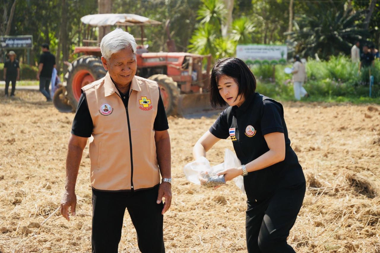 ภาพประกอบที่ 7