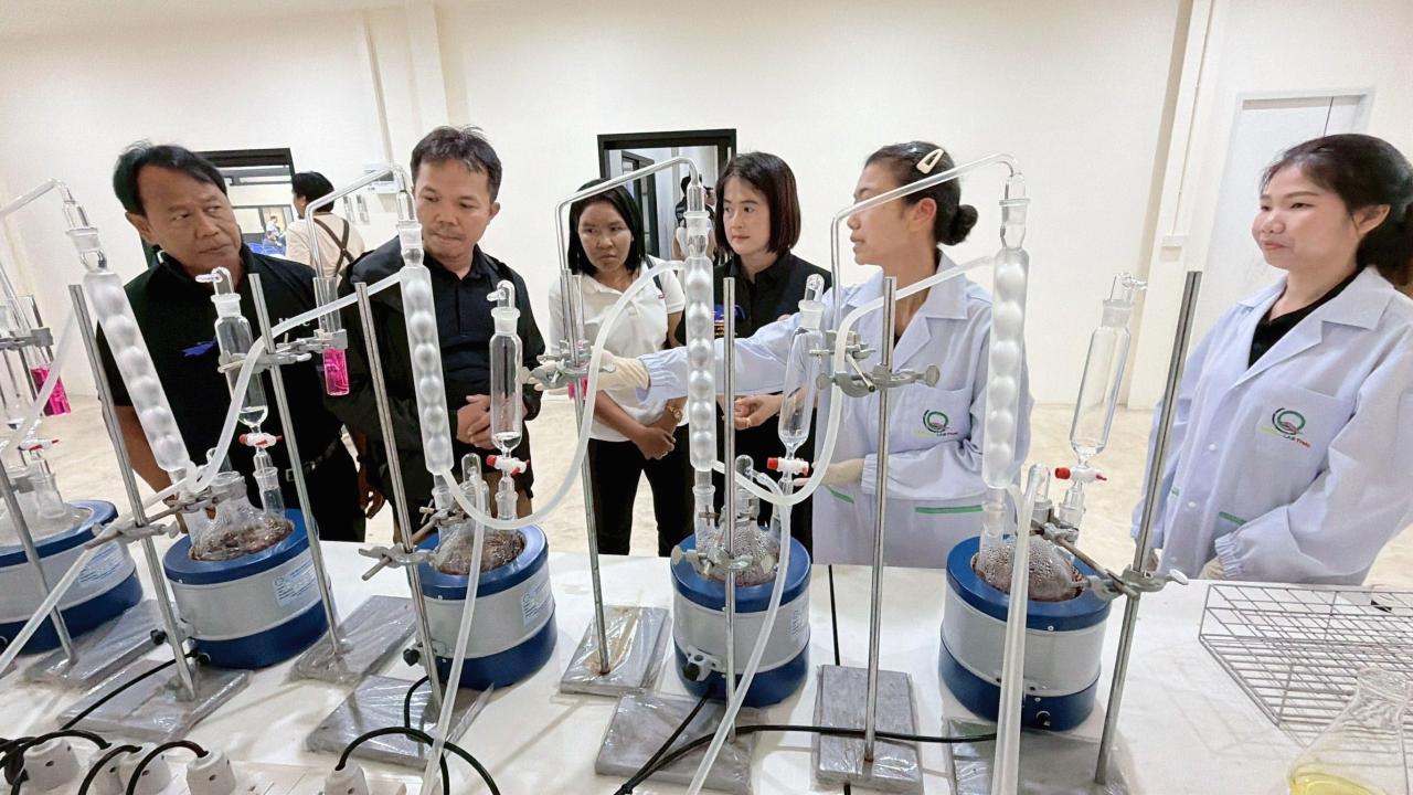 ภาพประกอบที่ 11