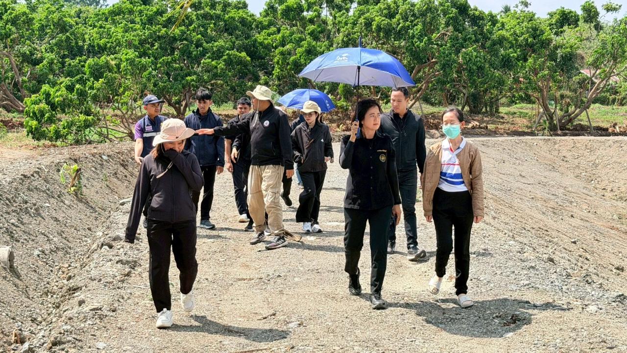 ภาพประกอบที่ 6