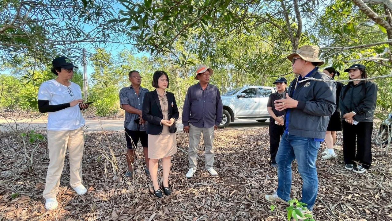 ภาพประกอบที่ 4