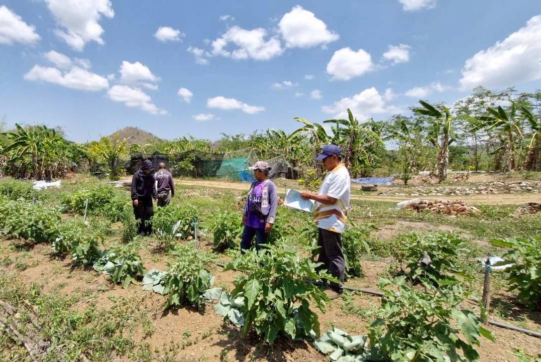ภาพประกอบที่ 2