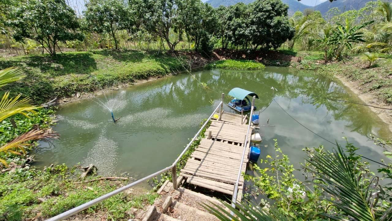 ภาพประกอบที่ 5