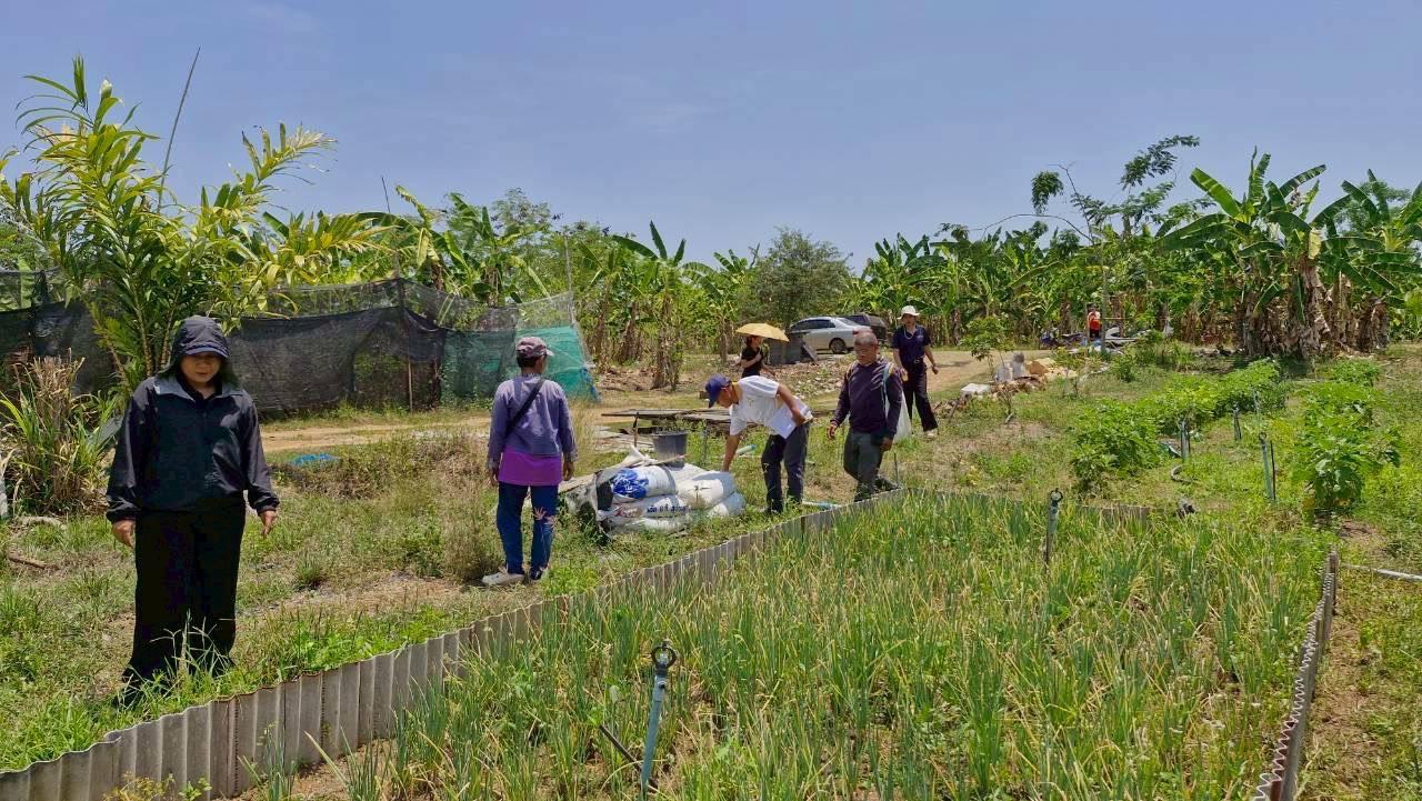 ภาพประกอบที่ 6