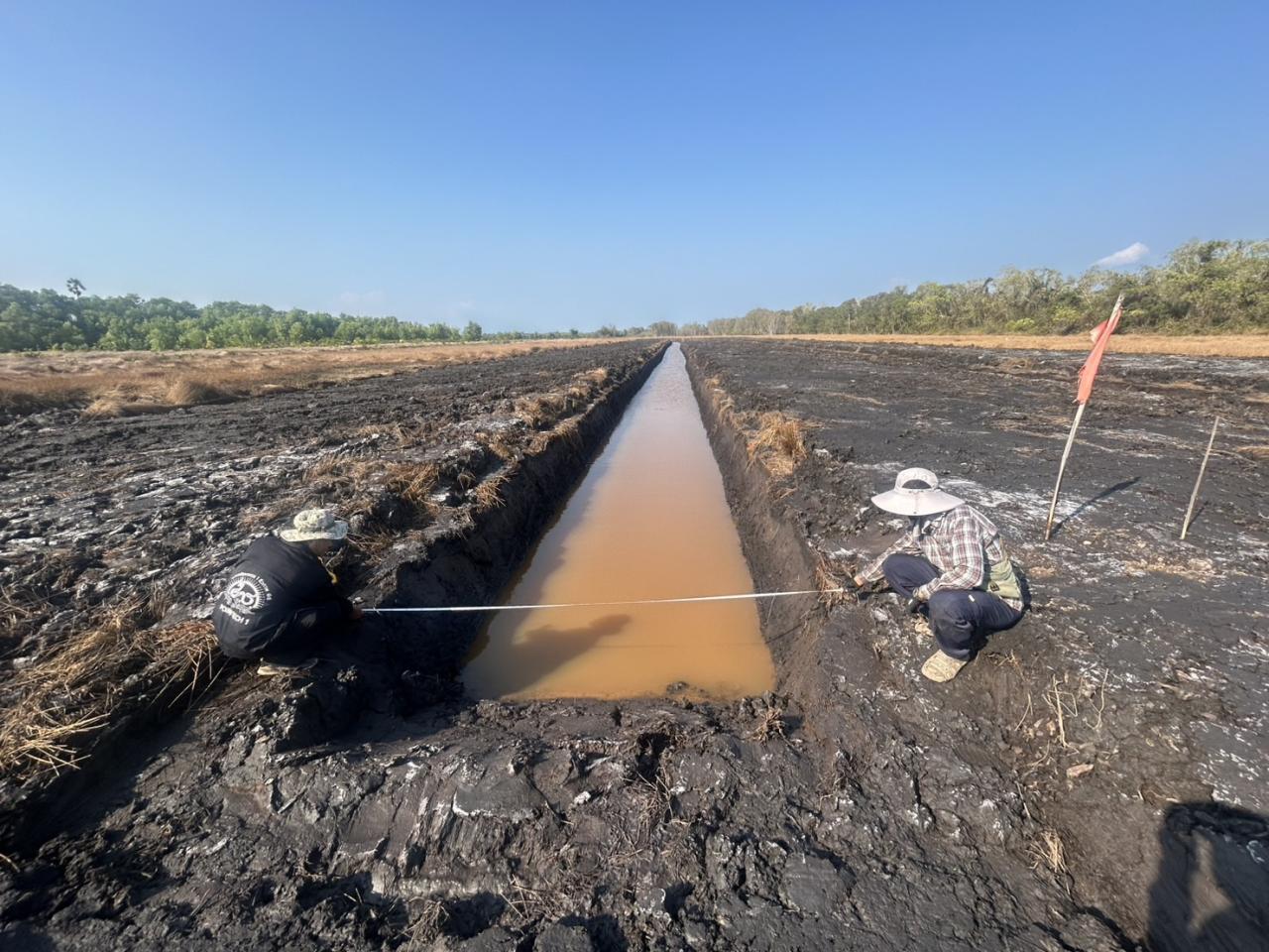 ภาพประกอบที่ 1