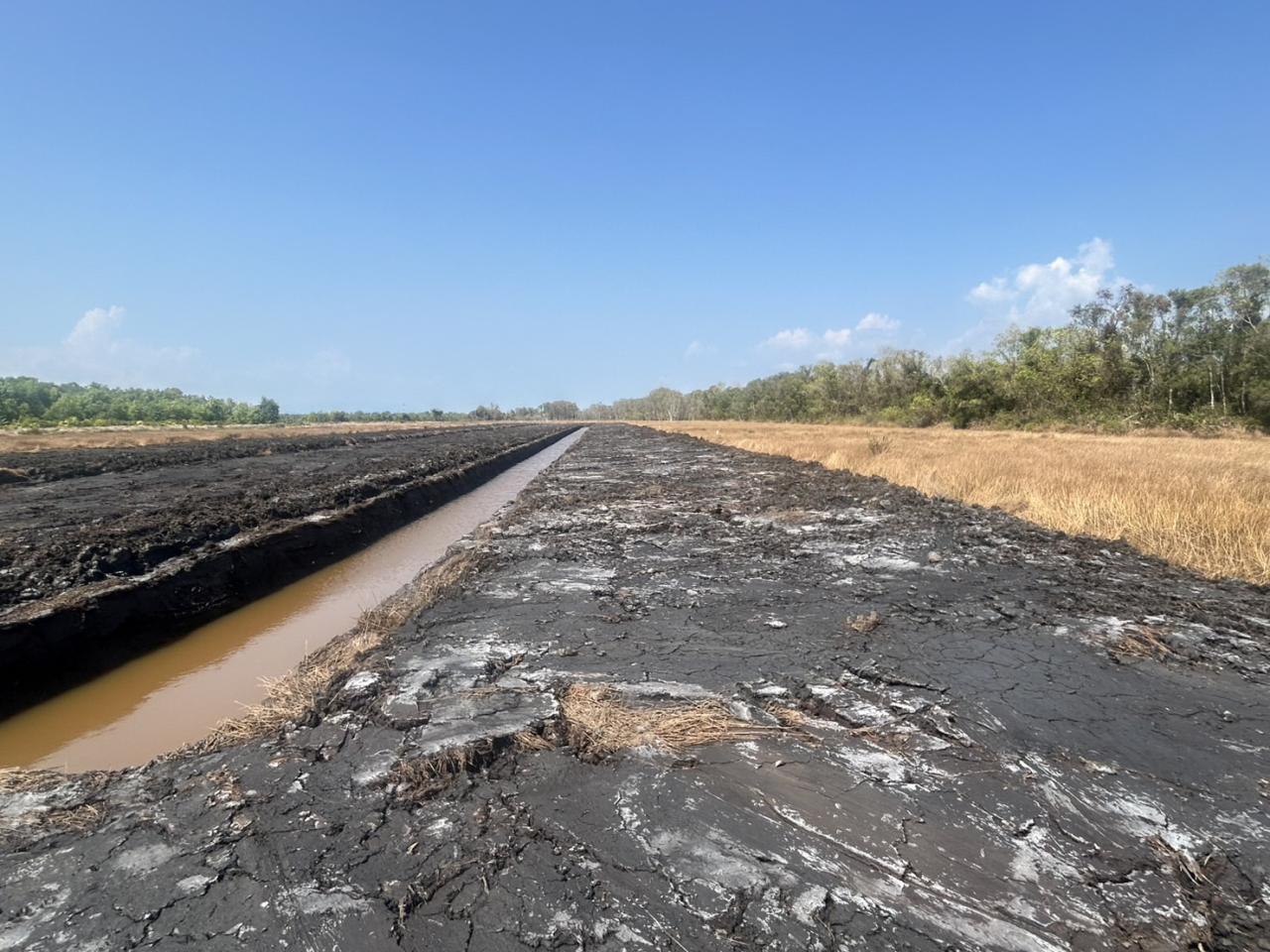 ภาพประกอบที่ 8