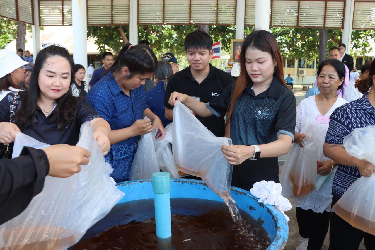 ภาพประกอบที่ 1