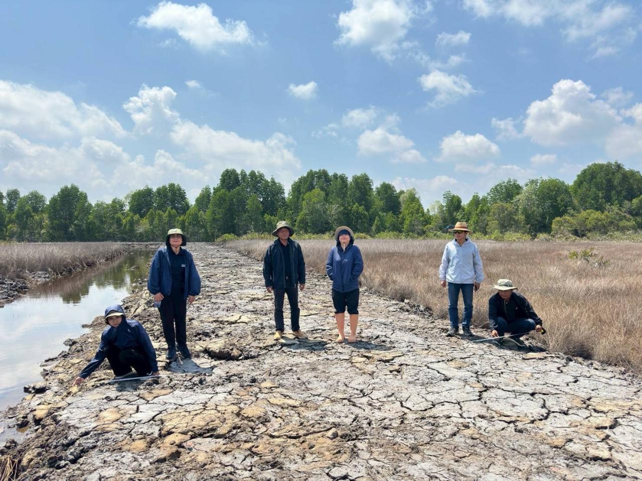 ภาพประกอบที่ 2